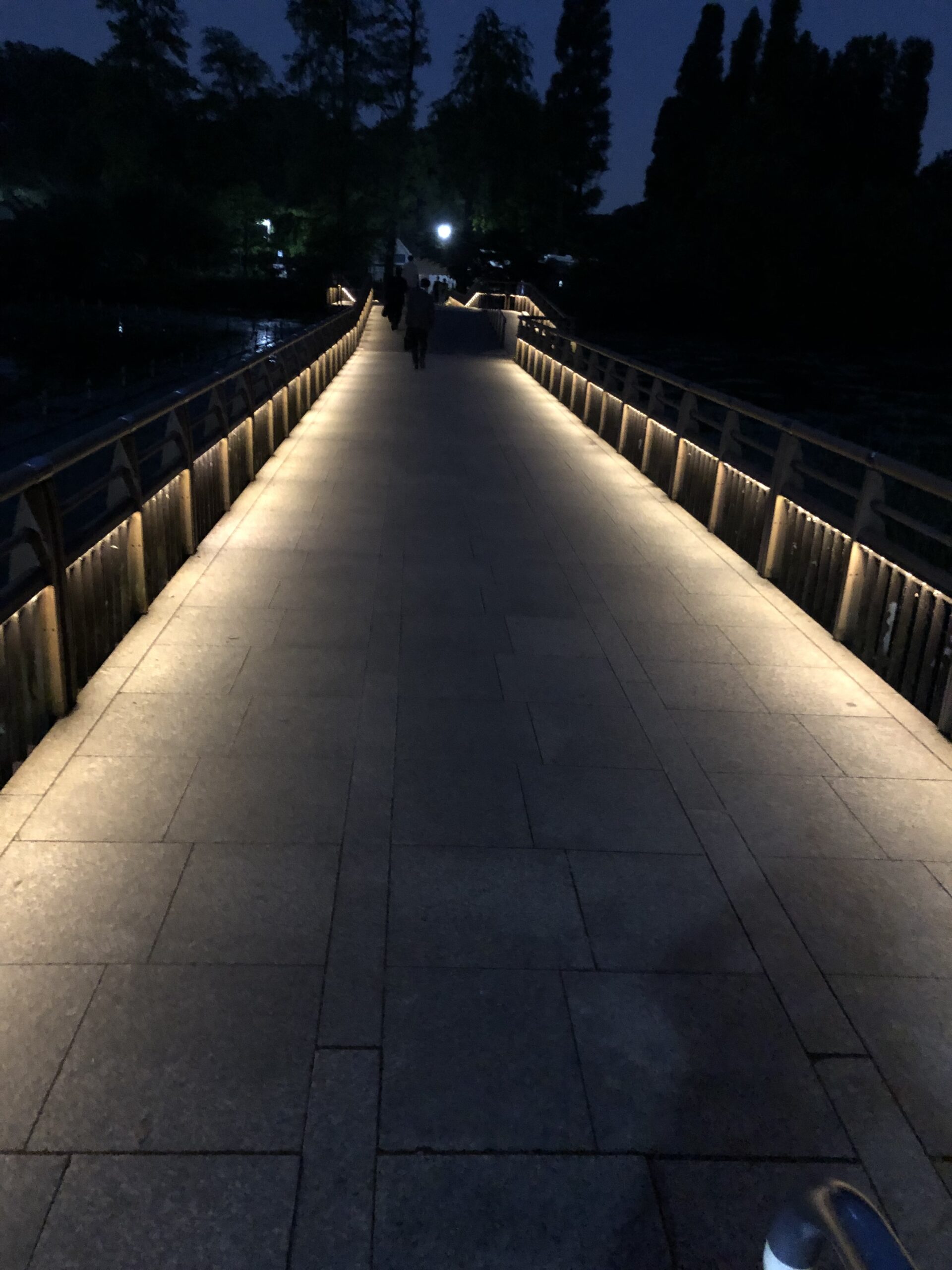 橋のライトアップ